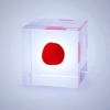 Sola Cube - Huayruro Seed Acrylic Display