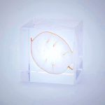 Sola Cube - Lunaria Annua Preserved Flower Display