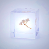 Sola Cube - Rice Flower Kyoto Preserved Botanical Art