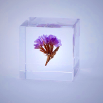 Sola Cube - Statice Preserved Flower in Acrylic Resin