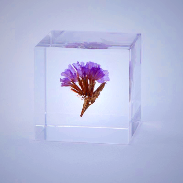 Sola Cube - Statice Preserved Flower in Acrylic Resin