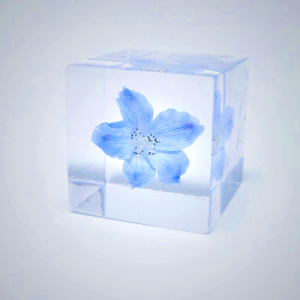Sola Cube - Siberian Larkspur Preserved in Acrylic Resin