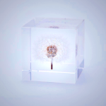 Sola Cube - Dandelion Seed in Acrylic Resin