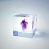 Sola Cube - Amethyst | Kyoto-Crafted Acrylic Display