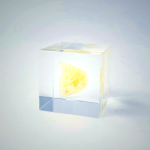 Sola Cube - Orange Calcite | Preserved Nature Art