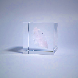 Sola Cube - Rose Quartz | Preserved Nature in Acrylic