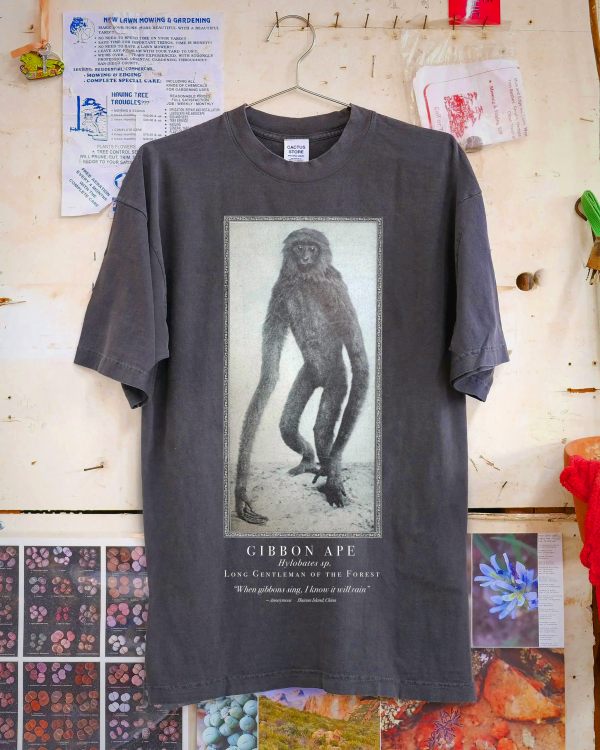 When Gibbons Sing T-Shirt - Washed Black