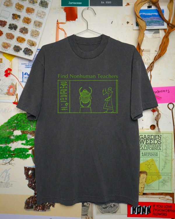 Nonhuman Teachers 501©(3) T-Shirt - Alien