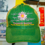 Thornscrub Santuary Hat - Green