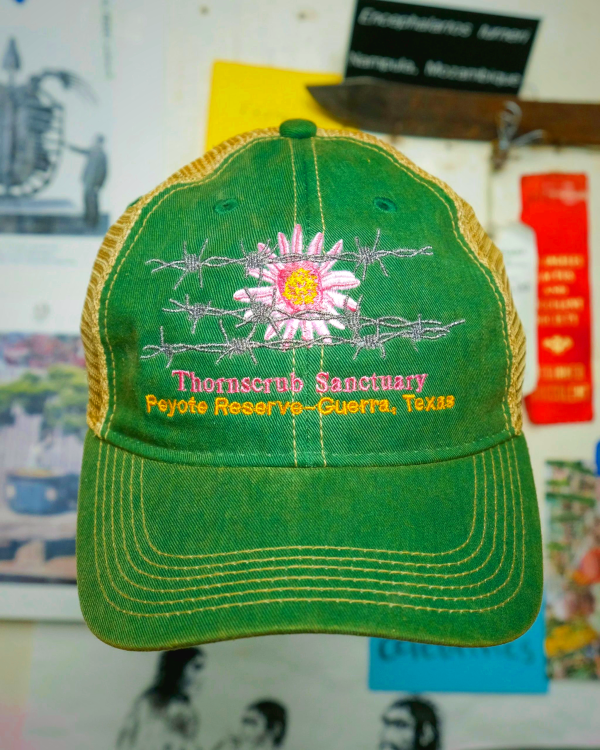 Thornscrub Santuary Hat - Green
